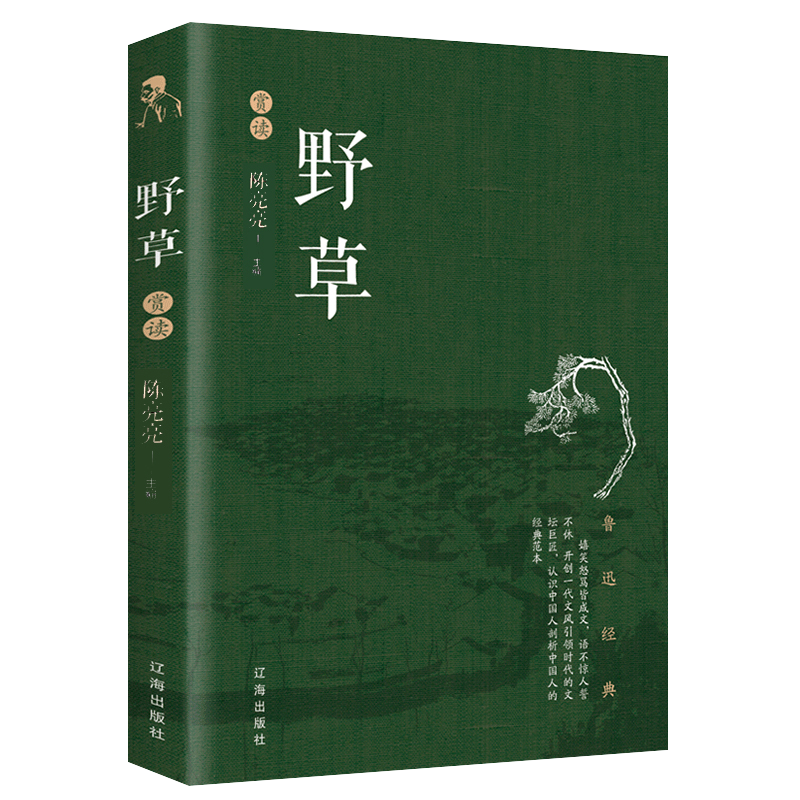 《野草》赏读
