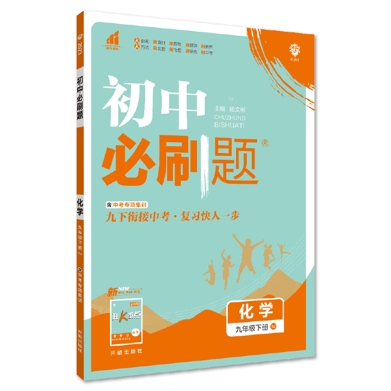 2023版  初中必刷题化学九年级下册