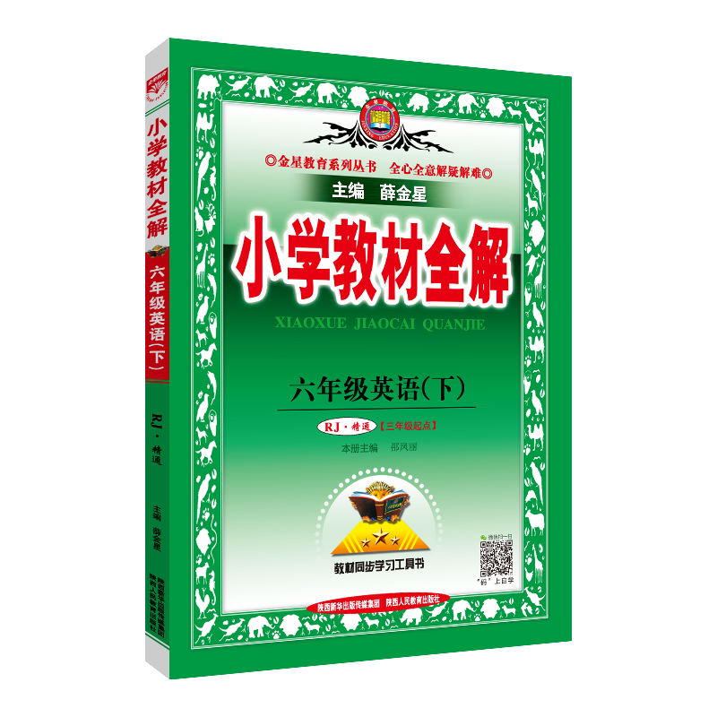 小学教材全解 六年级 英语下 人教版(RJ版)精通版