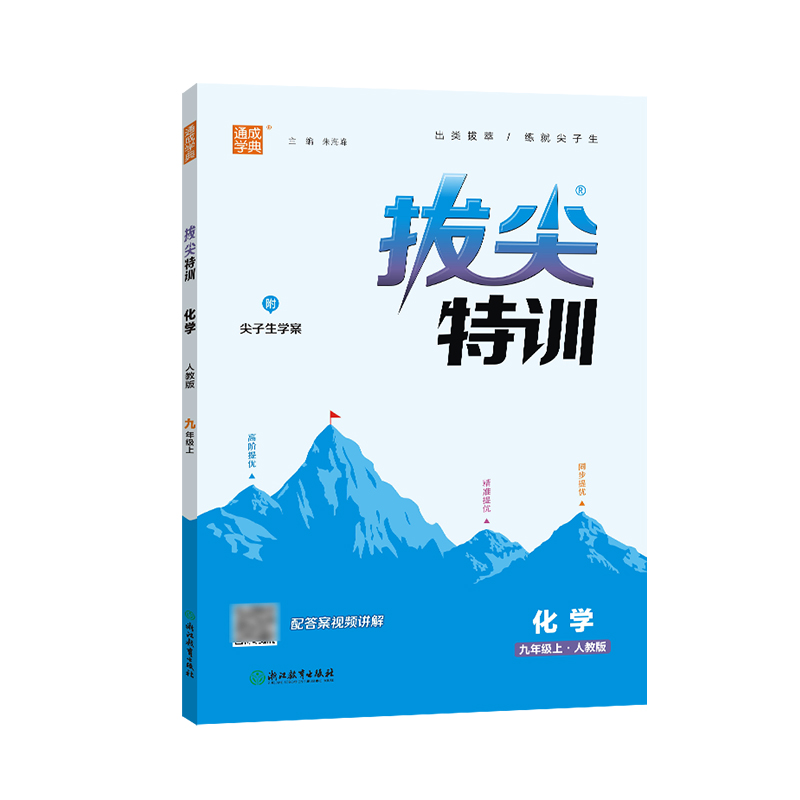 拔尖特训 九年级上册化学  人教版