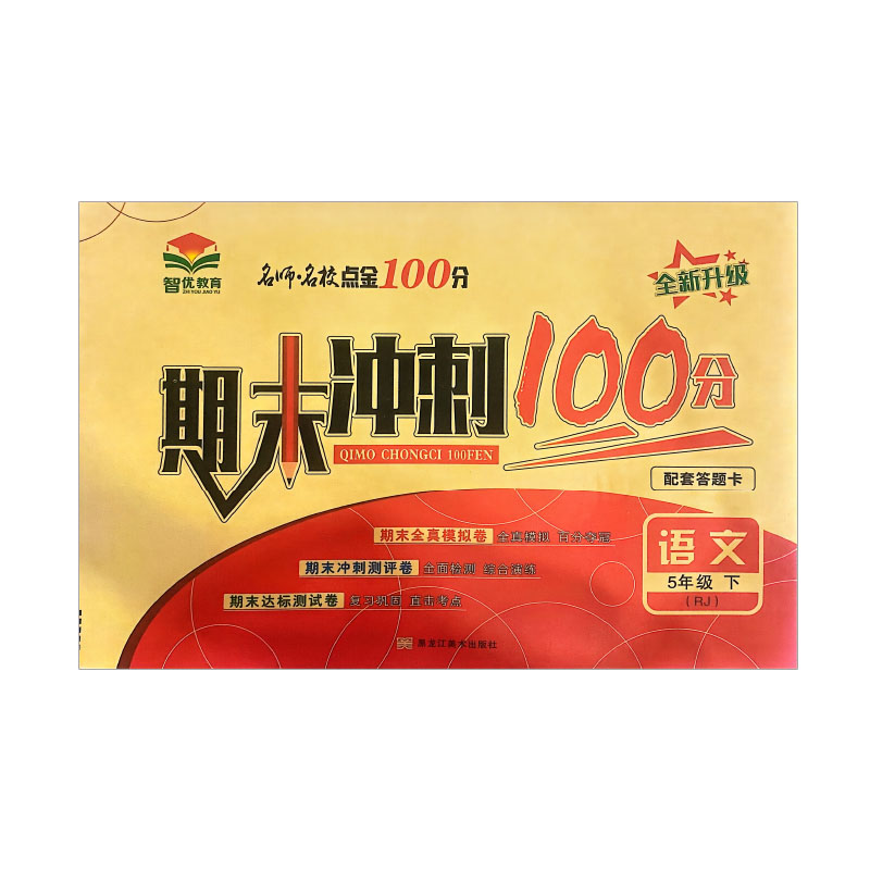 名师名校点金100分 期末冲刺  五年级语文下册 人教版