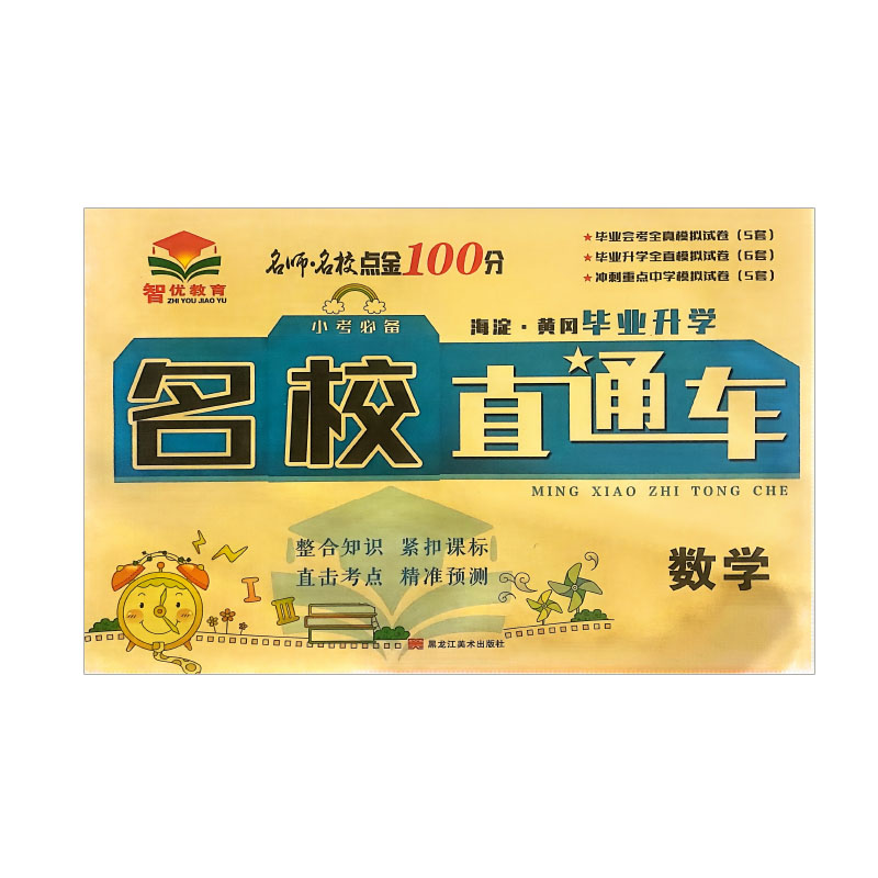 名师名校点金100分 名校直通车毕业升学  六年级下数学