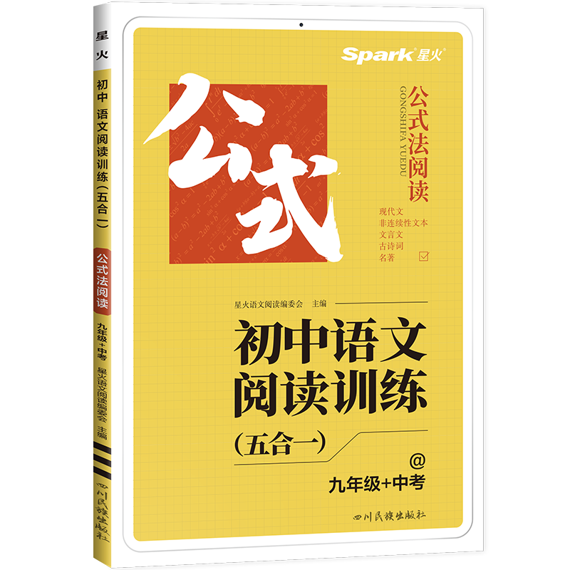 24巅峰训练初中语文阅读训练五合一 九年+中考