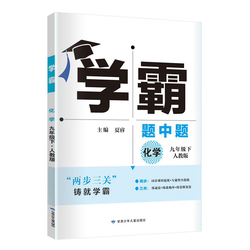 24学霸题中题九年化学下