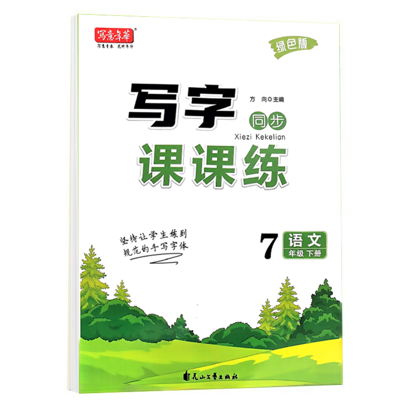 24写意年华写字课课练七年下