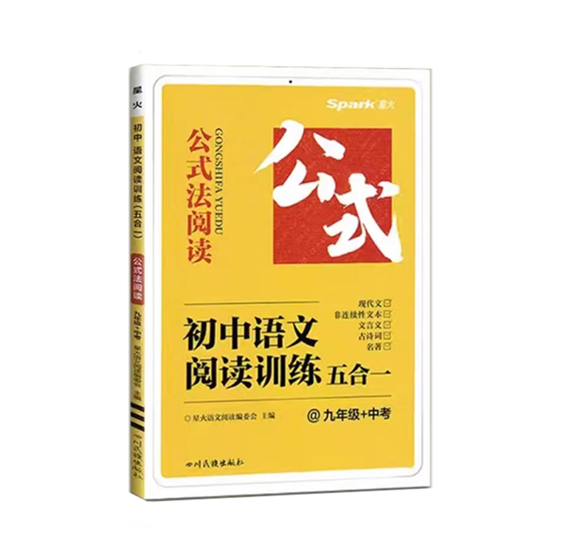 25巅峰训练初中语文阅读训练五合一九年+中考