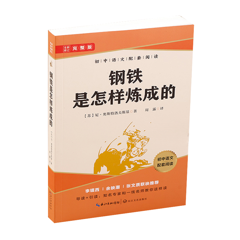 初中语文配套阅读钢铁是怎样炼成的